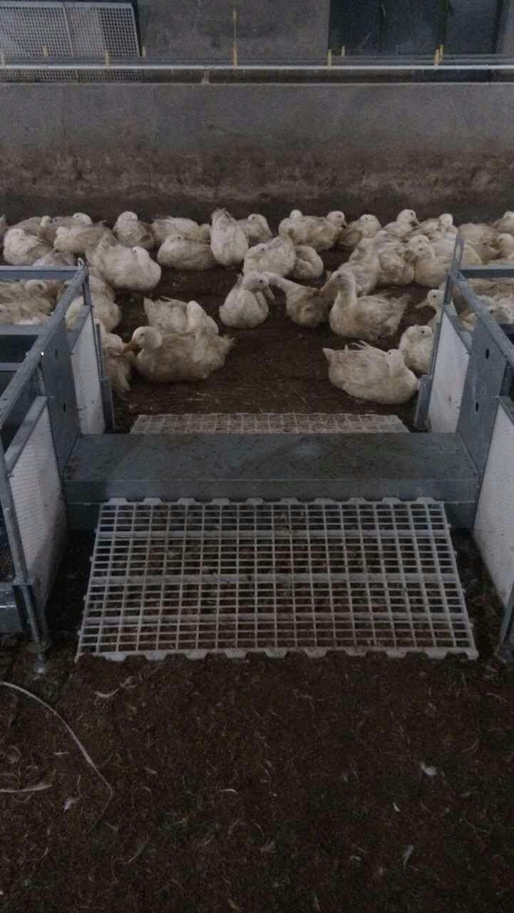 博世体育(中国集团)官方网站