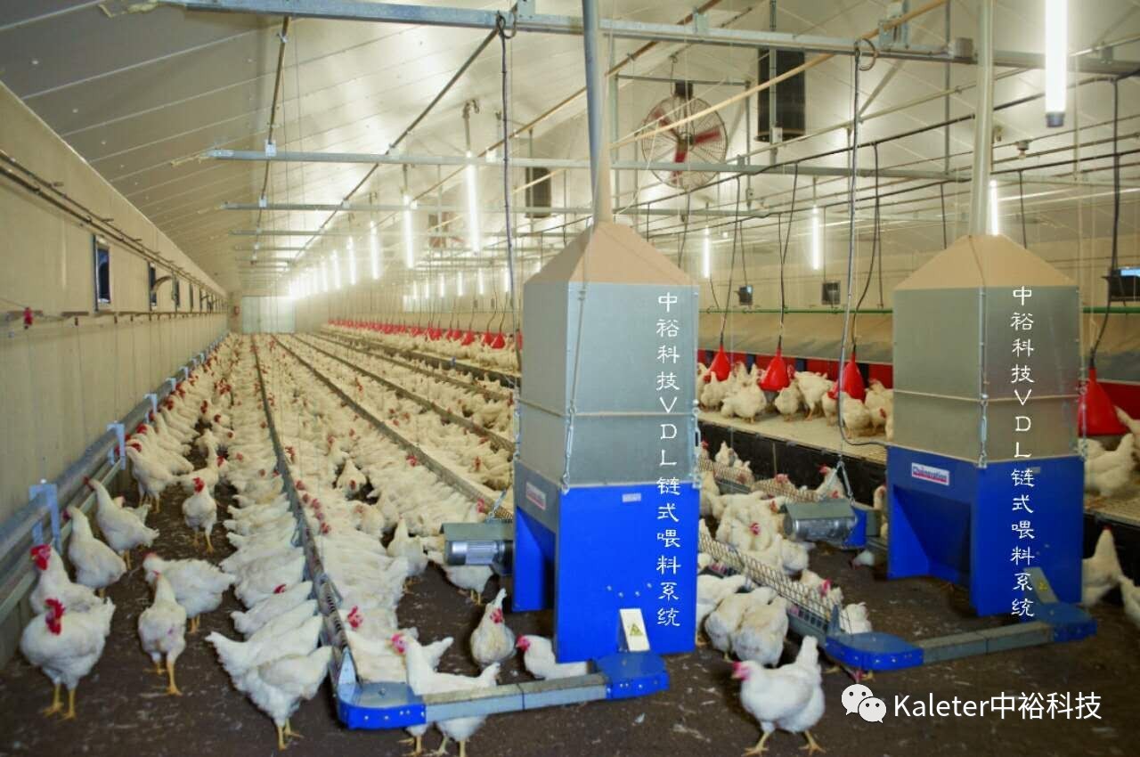 博世体育(中国集团)官方网站