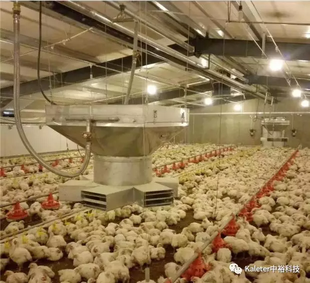 博世体育(中国集团)官方网站