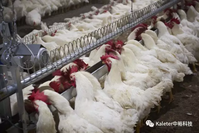 博世体育(中国集团)官方网站