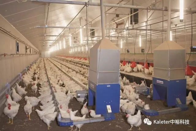 博世体育(中国集团)官方网站