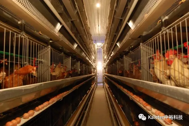 博世体育(中国集团)官方网站