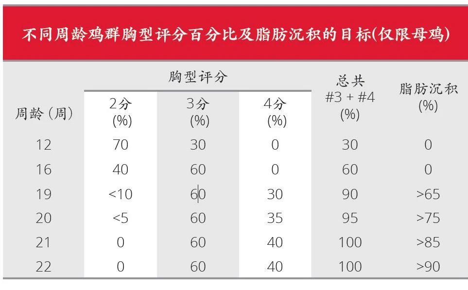 博世体育(中国集团)官方网站