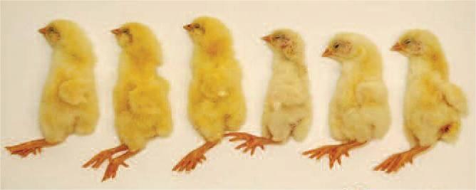 博世体育(中国集团)官方网站