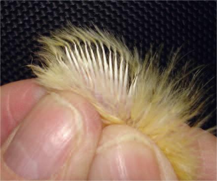 博世体育(中国集团)官方网站