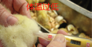 博世体育(中国集团)官方网站