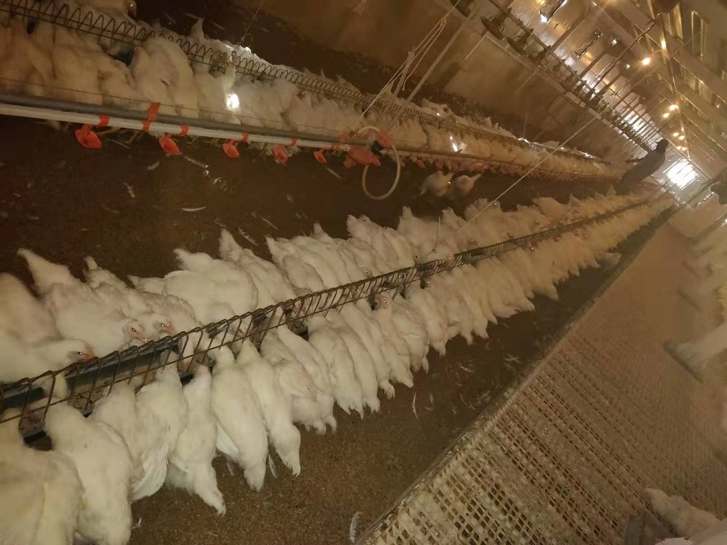 博世体育(中国集团)官方网站