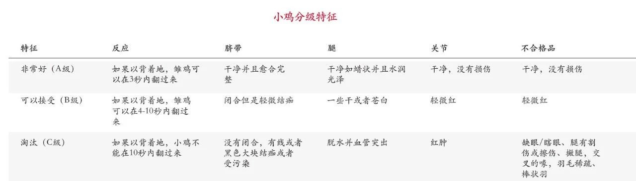 博世体育(中国集团)官方网站