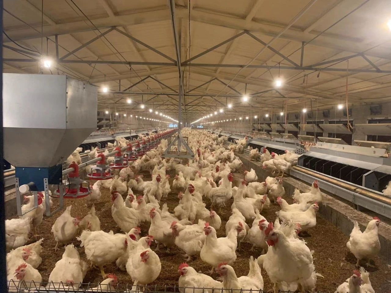 博世体育(中国集团)官方网站