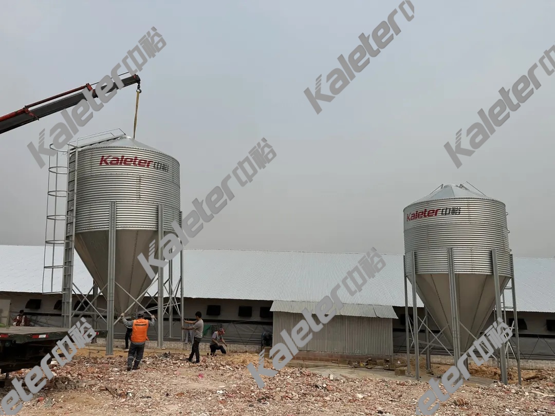 博世体育(中国集团)官方网站