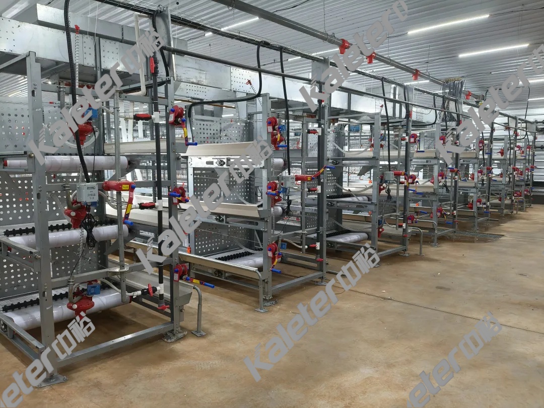 博世体育(中国集团)官方网站