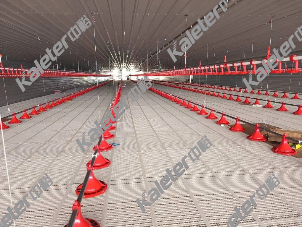 博世体育(中国集团)官方网站