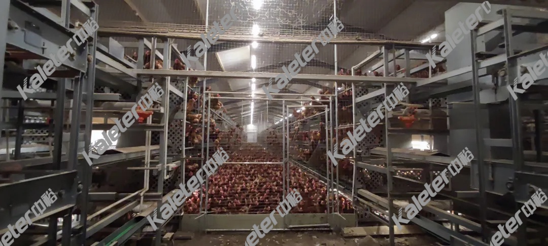 博世体育(中国集团)官方网站