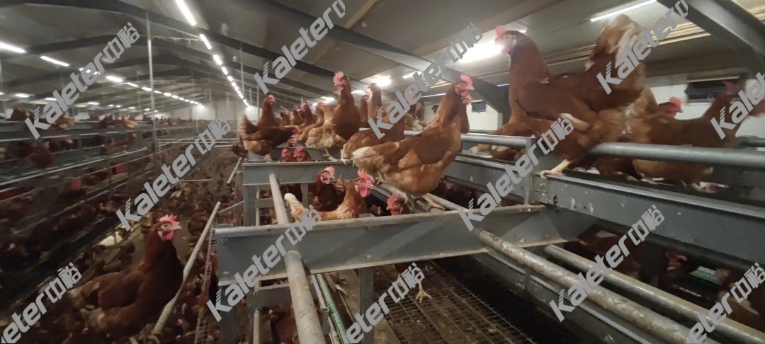 博世体育(中国集团)官方网站