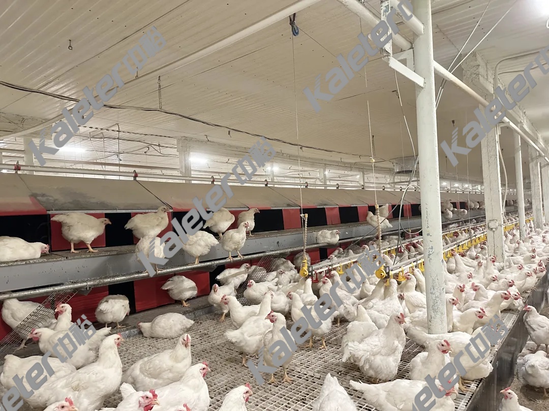 博世体育(中国集团)官方网站