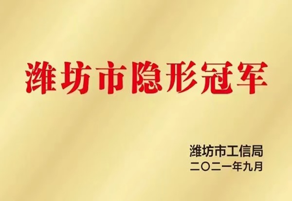 潍坊市隐形冠军