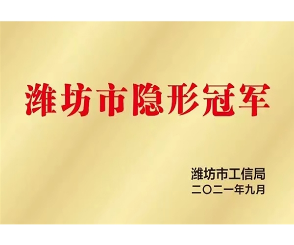 潍坊市隐形冠军
