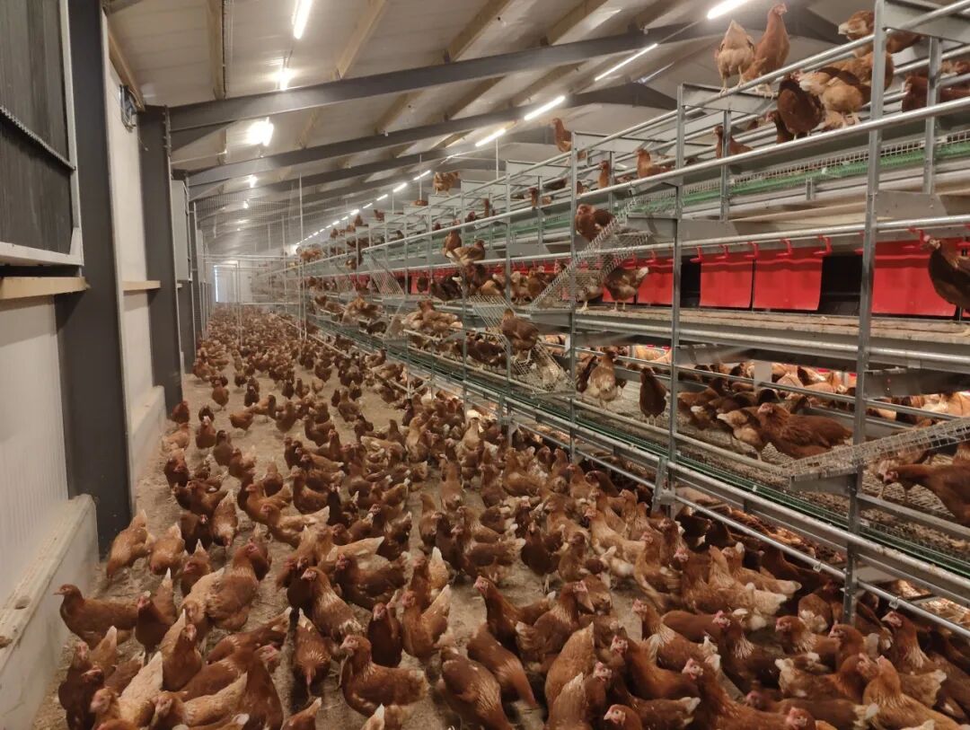 博世体育(中国集团)官方网站