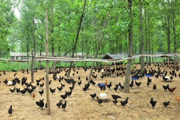 博世体育(中国集团)官方网站