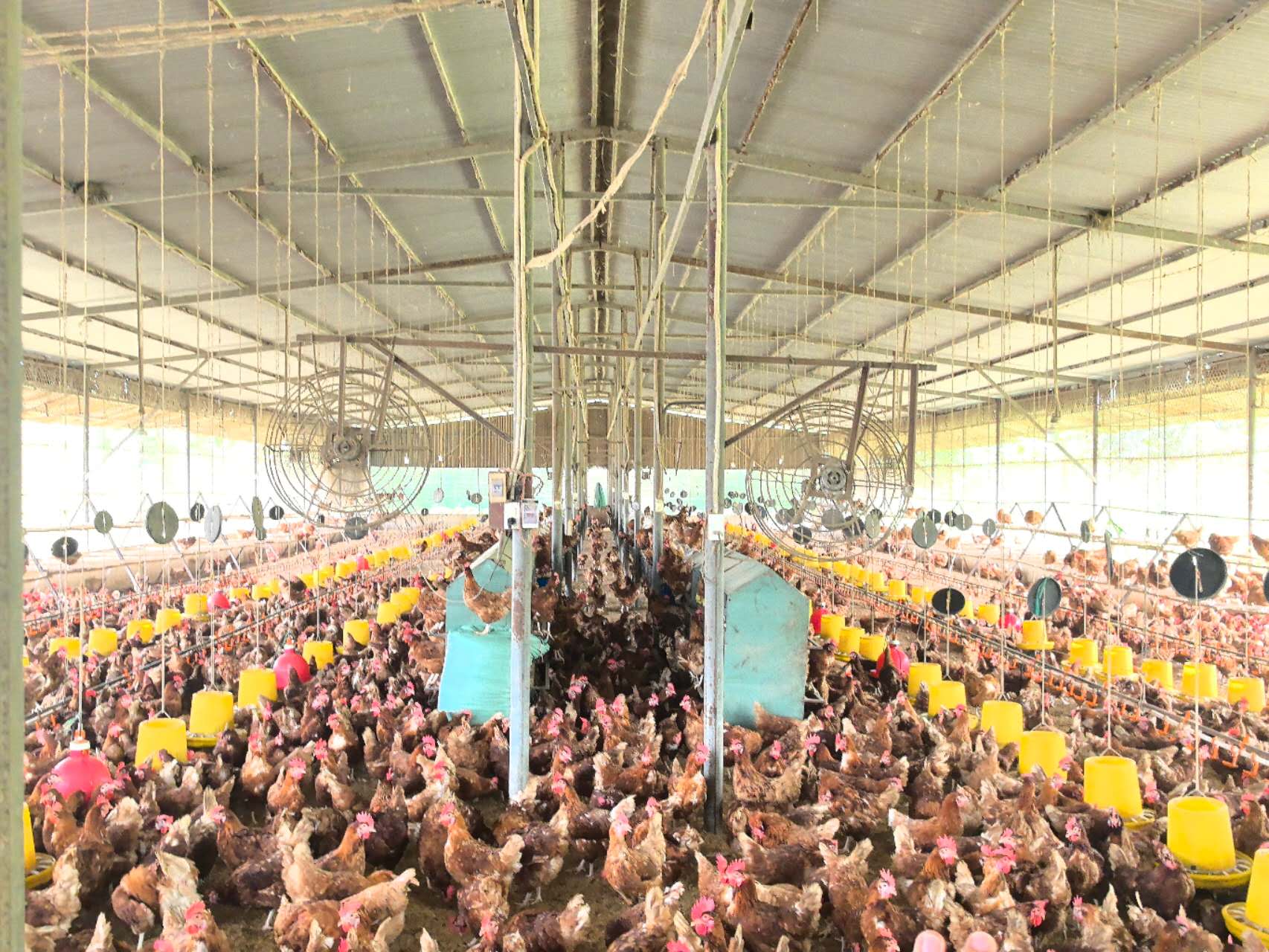 博世体育(中国集团)官方网站