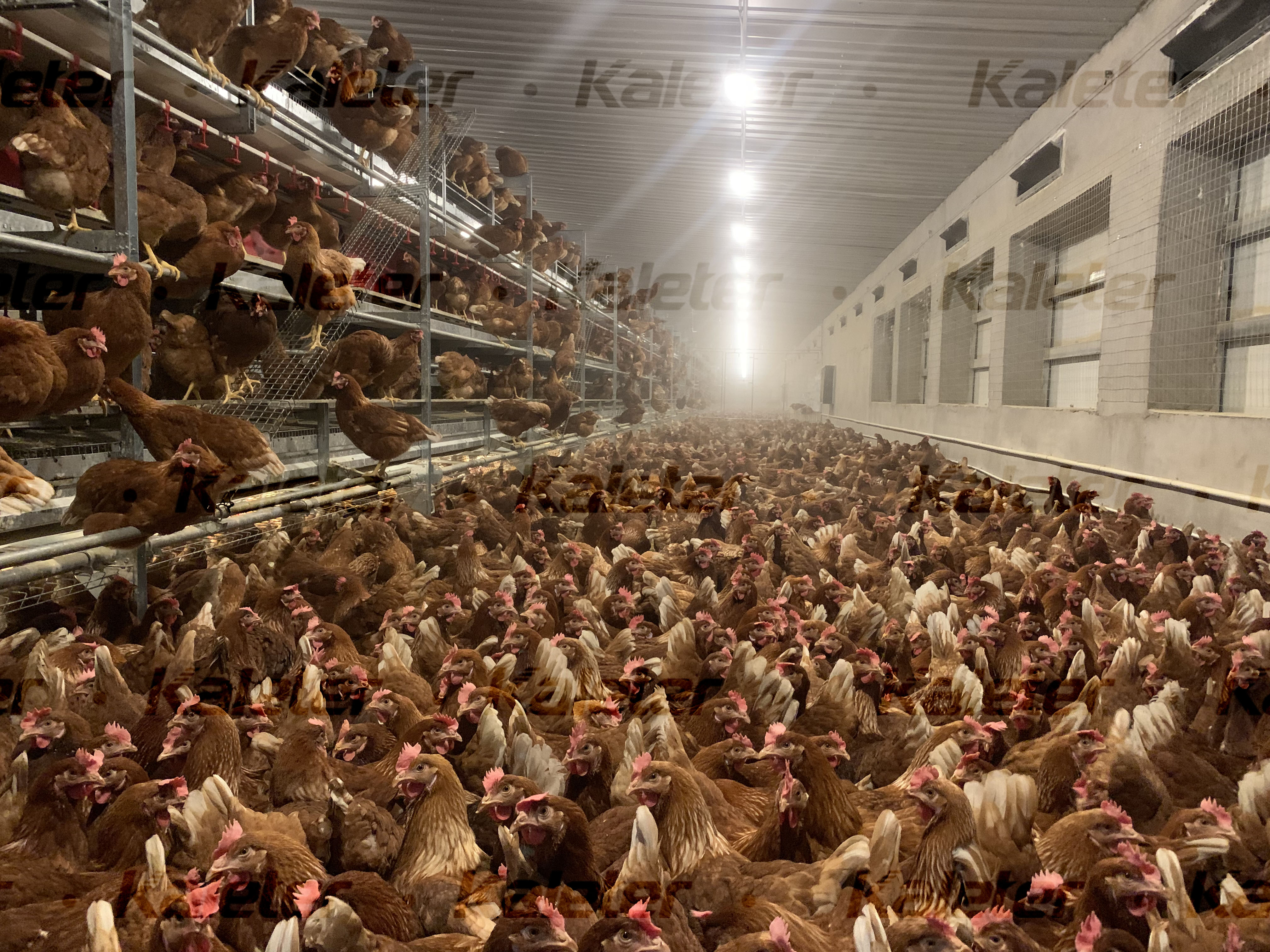 博世体育(中国集团)官方网站