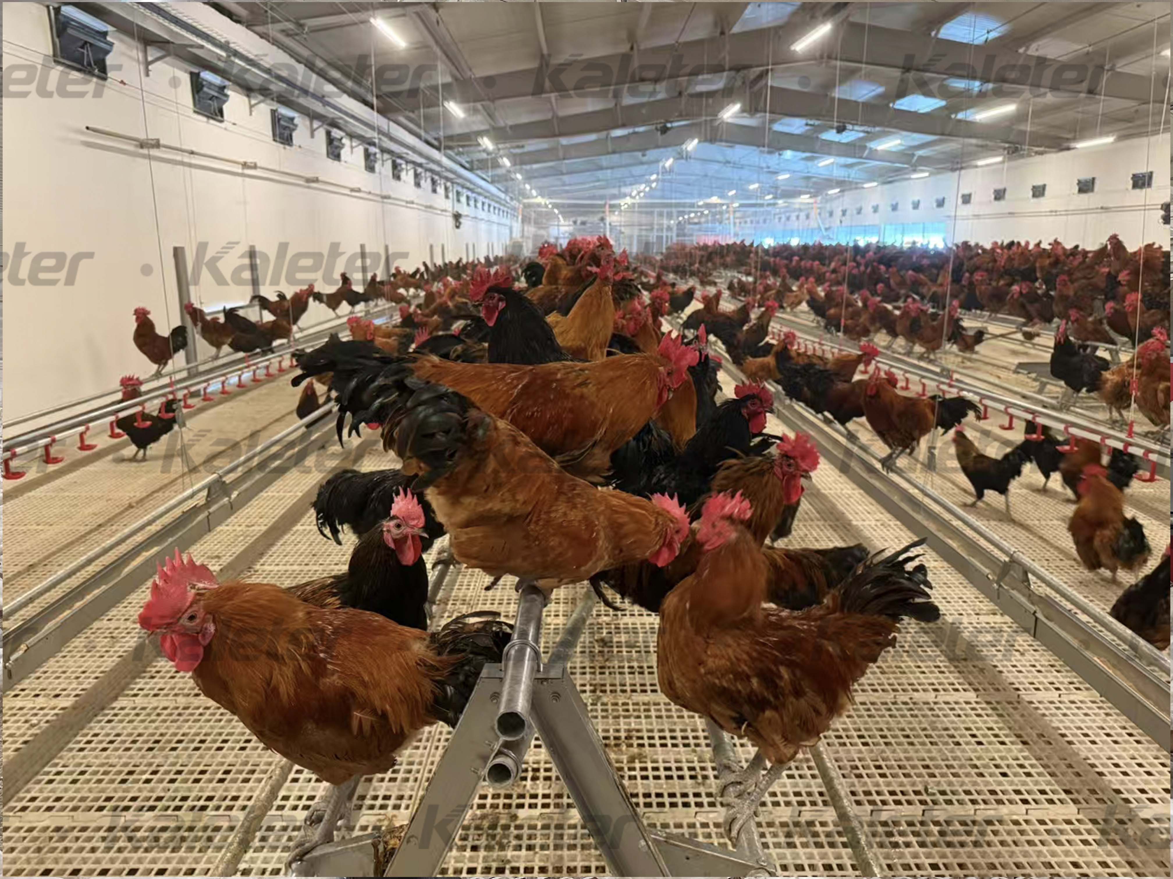 博世体育(中国集团)官方网站