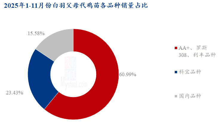 博世体育(中国集团)官方网站