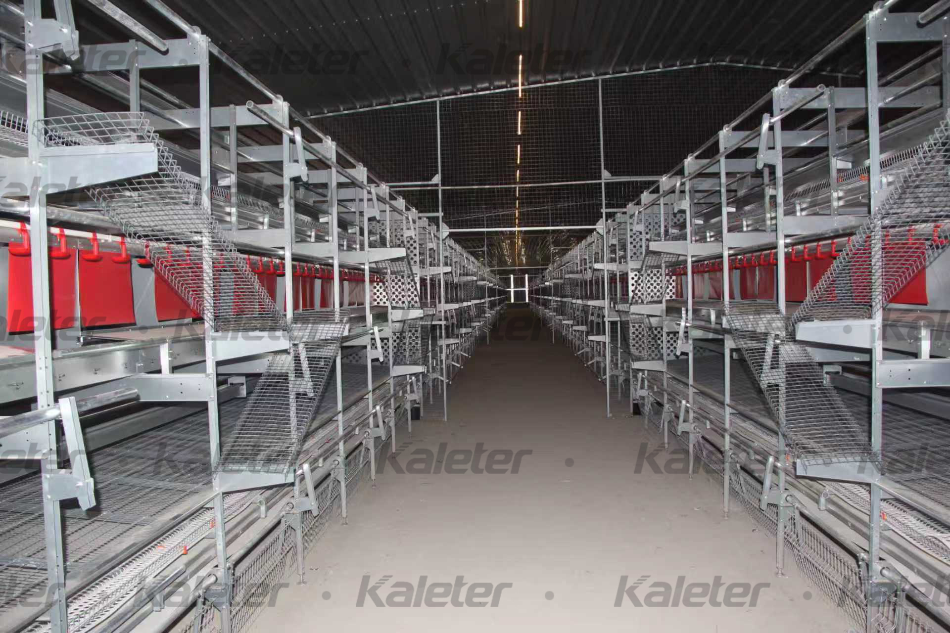 博世体育(中国集团)官方网站