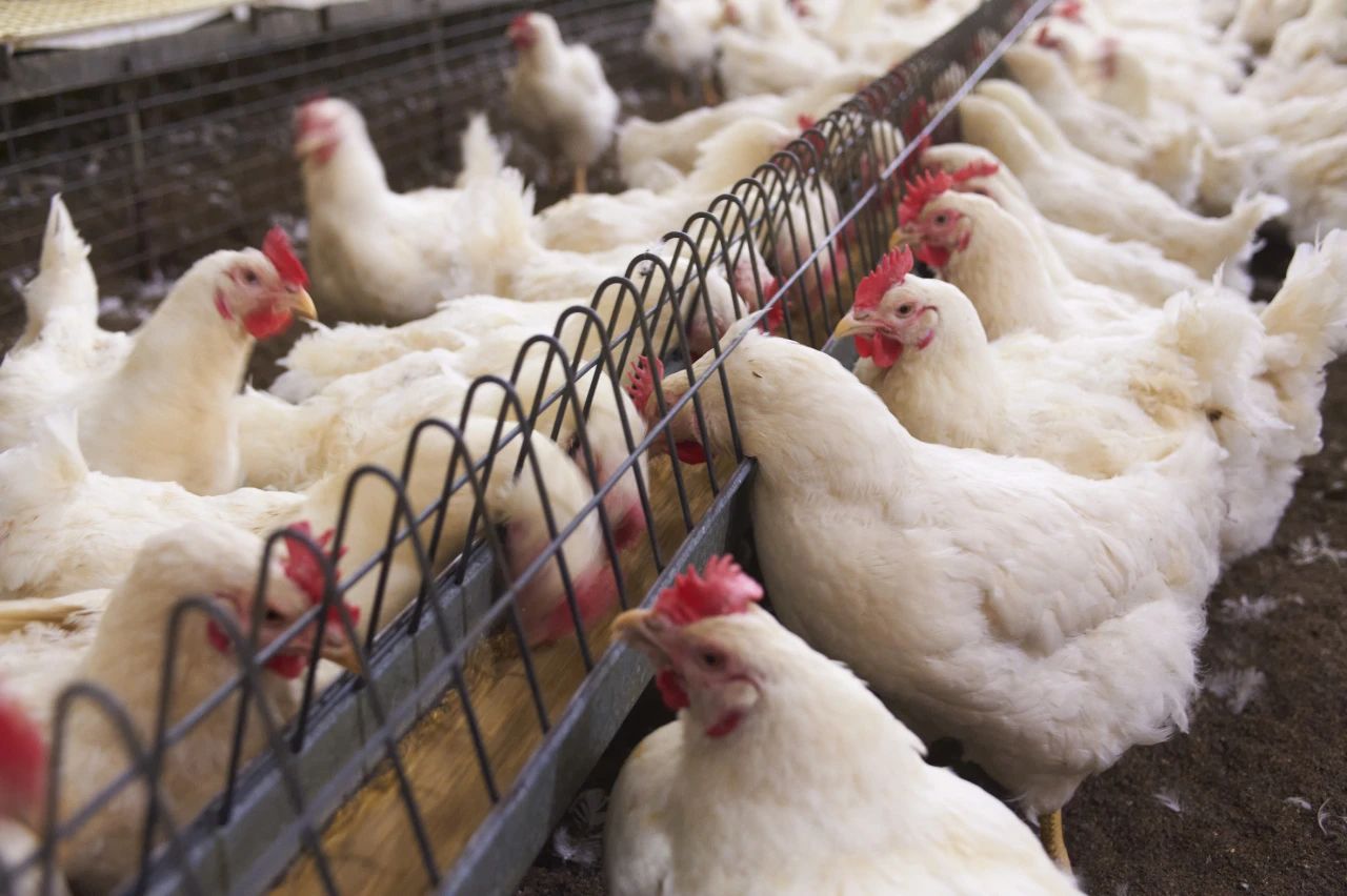 博世体育(中国集团)官方网站