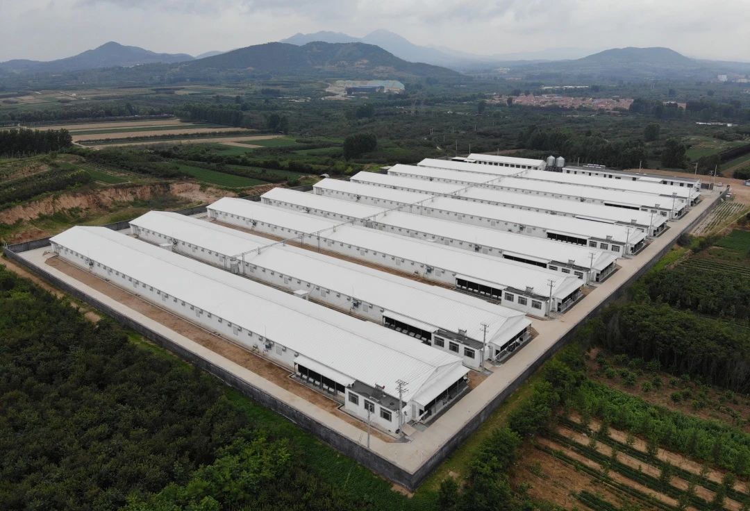 博世体育(中国集团)官方网站