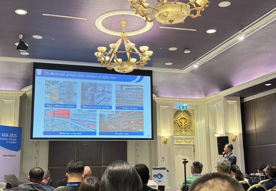 博世体育(中国集团)官方网站