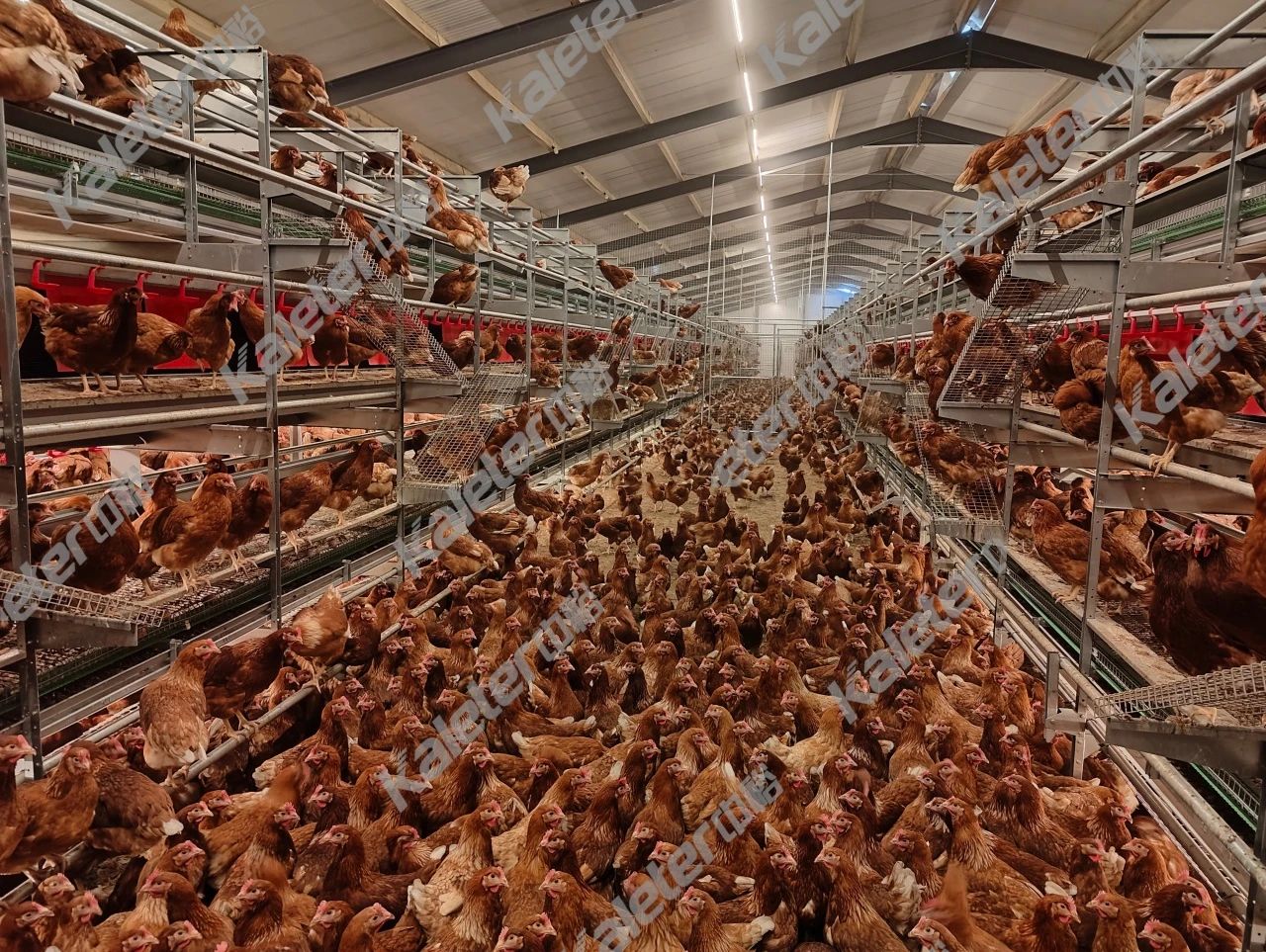 博世体育(中国集团)官方网站