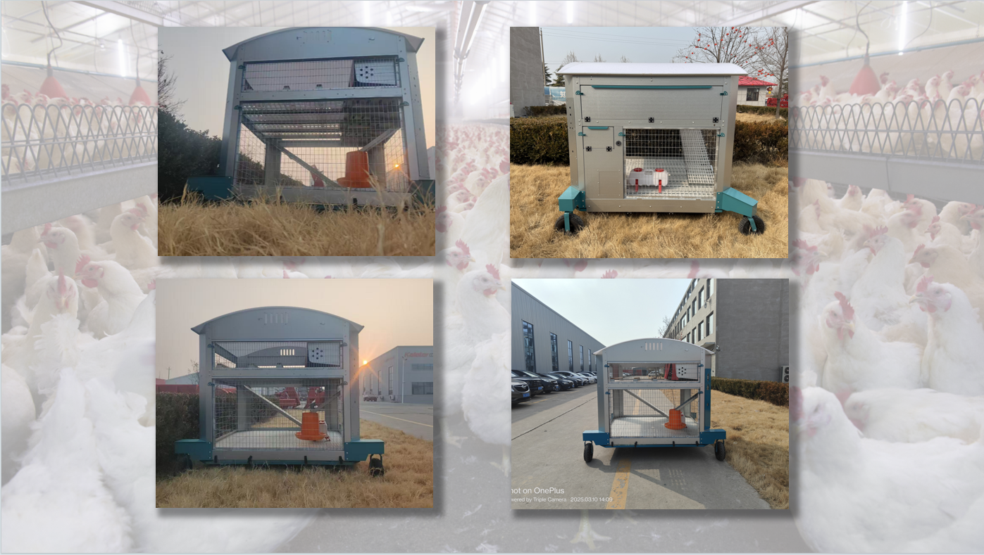 博世体育(中国集团)官方网站