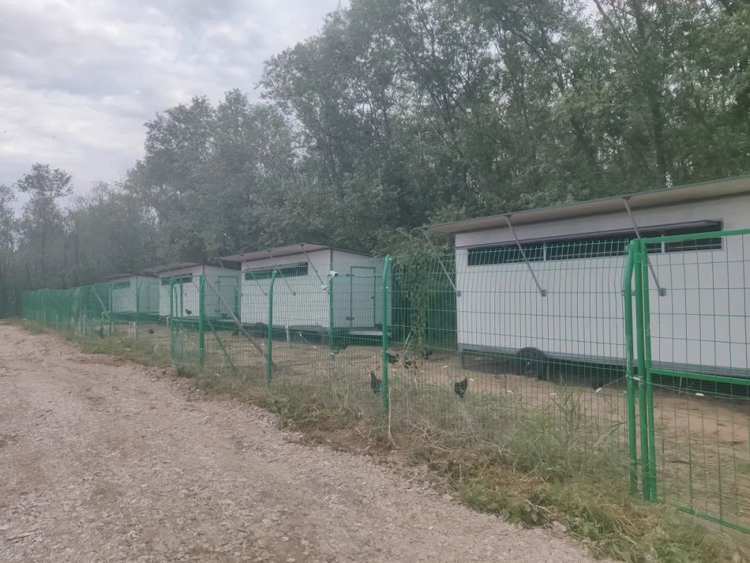 博世体育(中国集团)官方网站