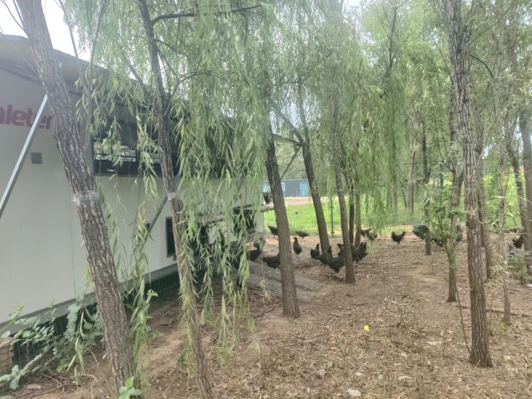 博世体育(中国集团)官方网站