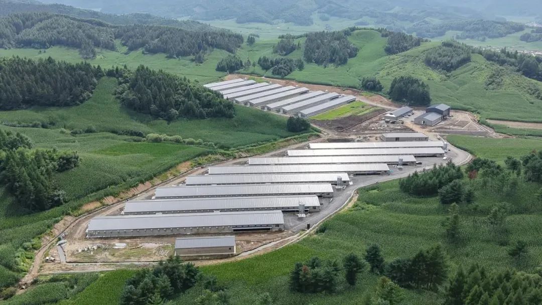 博世体育(中国集团)官方网站