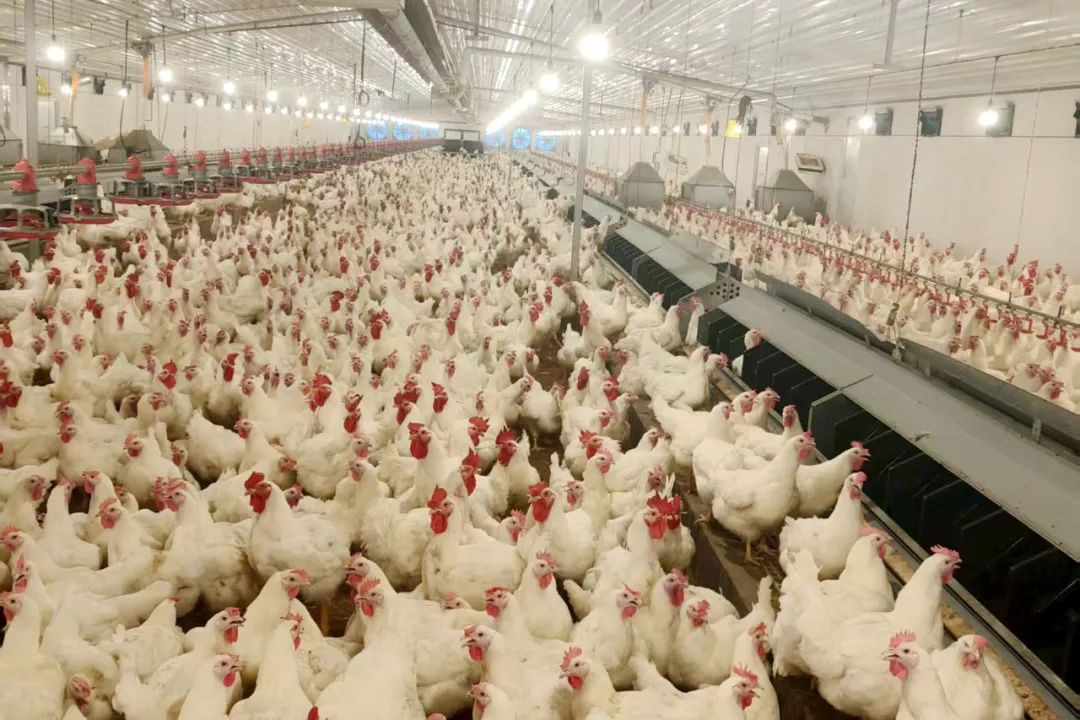 博世体育(中国集团)官方网站