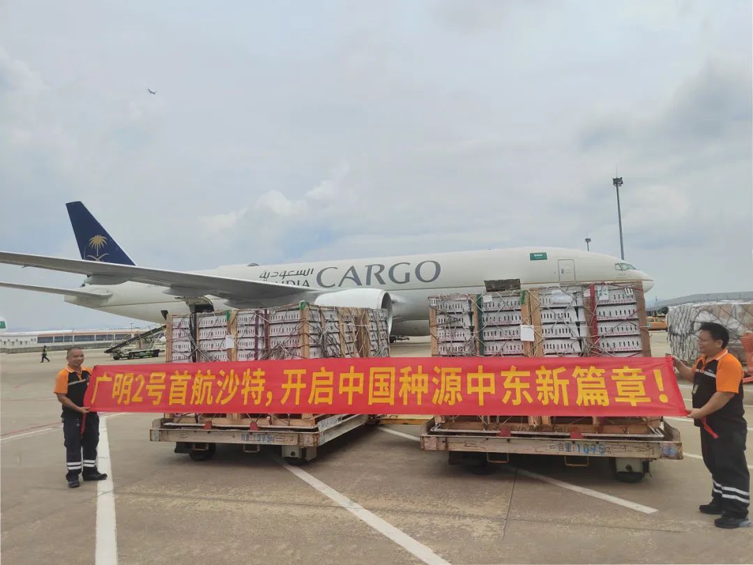 博世体育(中国集团)官方网站