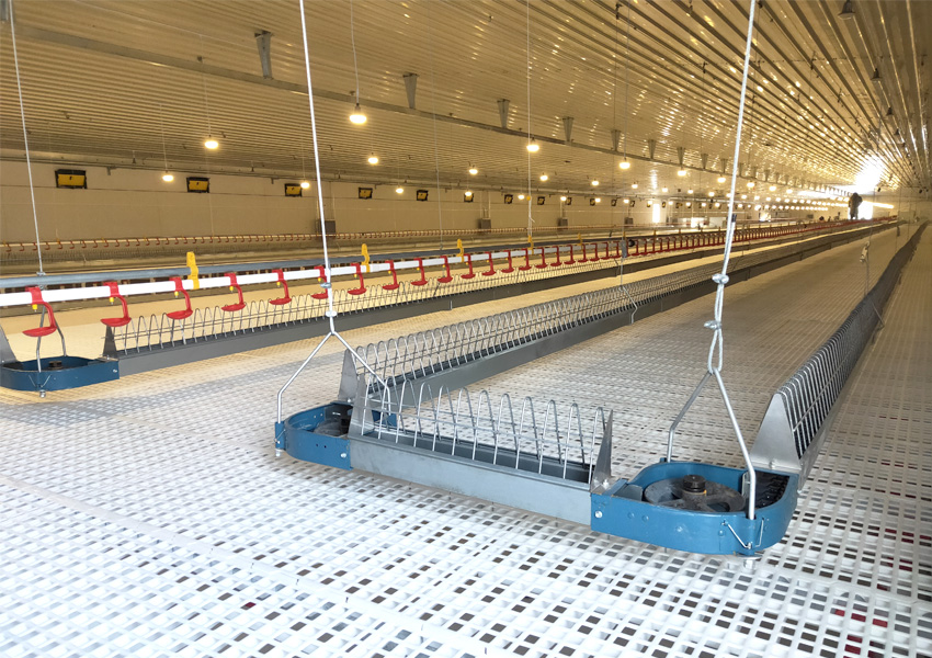 博世体育(中国集团)官方网站