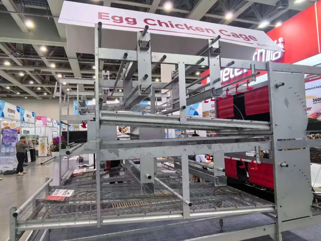 博世体育(中国集团)官方网站