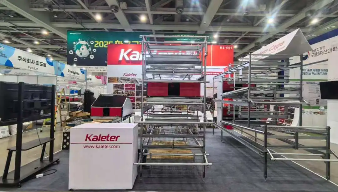 博世体育(中国集团)官方网站