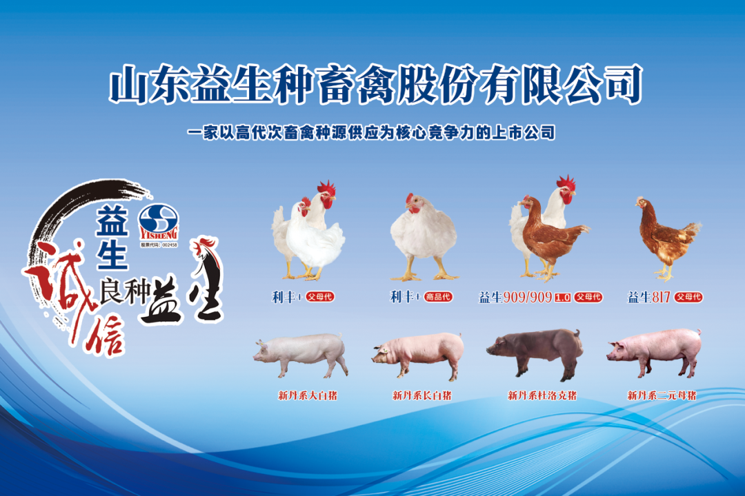 博世体育(中国集团)官方网站