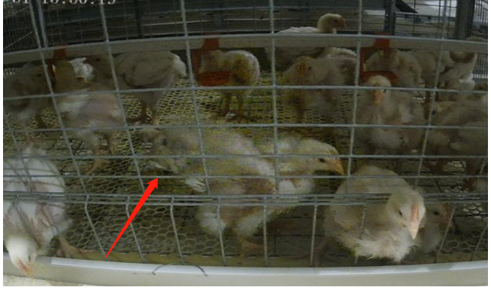 博世体育(中国集团)官方网站