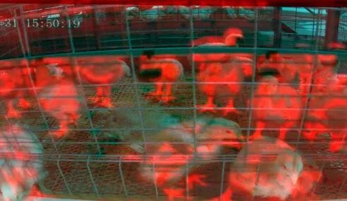 博世体育(中国集团)官方网站