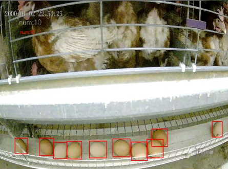 博世体育(中国集团)官方网站