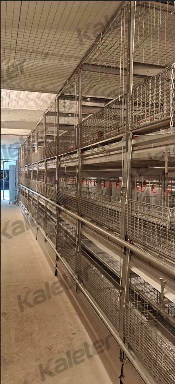 博世体育(中国集团)官方网站