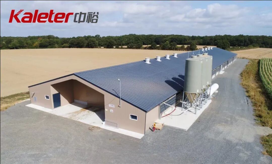 博世体育(中国集团)官方网站