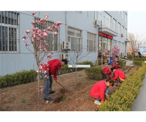 博世体育(中国集团)官方网站