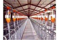 Warm congratulations on the successful launch of the new website of Zhongyu Mechanical and Electrical Co., Ltd.