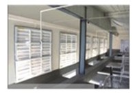 夏日养鸡治理的几个要点？？？